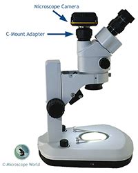 microscope with camera attachment.